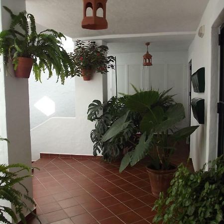 Apartamento En Conil コニル・デ・ラ・フロンテラ エクステリア 写真