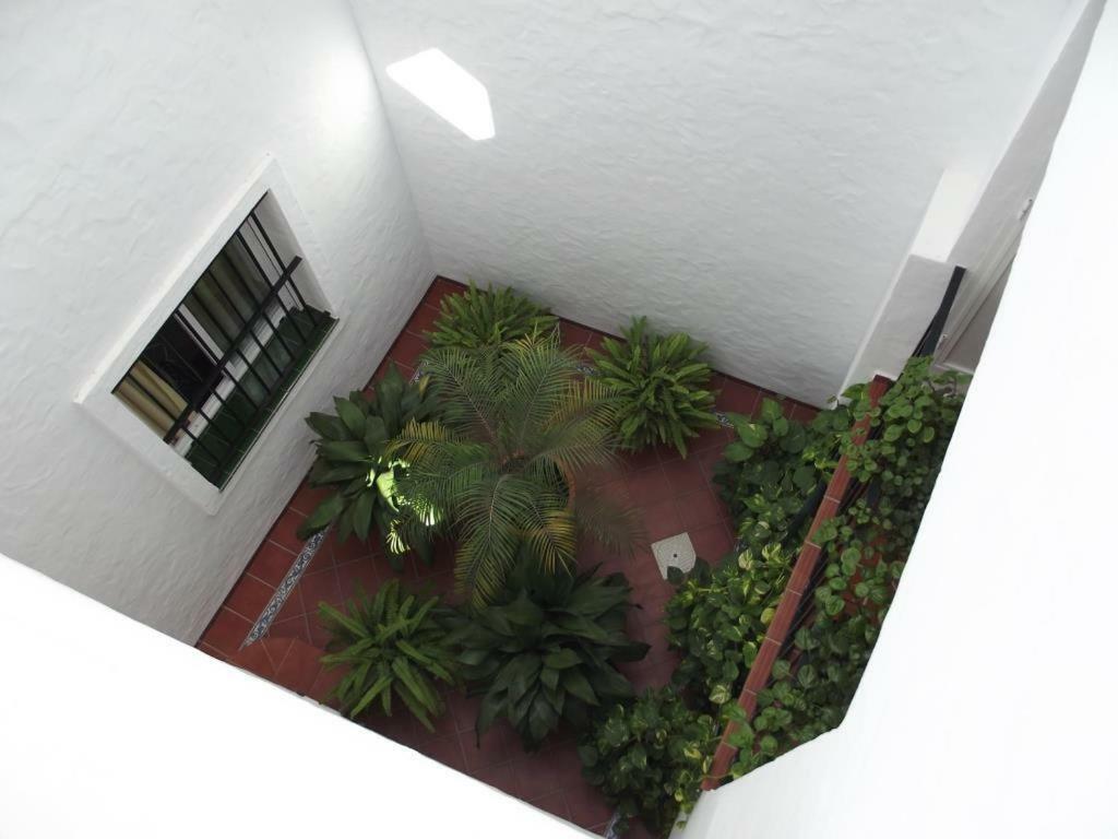 Apartamento En Conil コニル・デ・ラ・フロンテラ エクステリア 写真