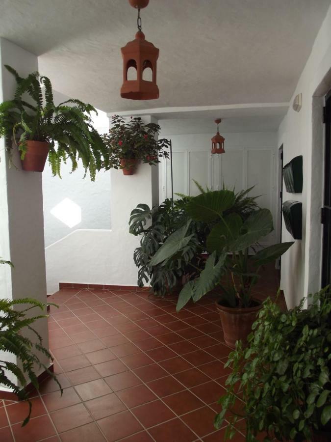Apartamento En Conil コニル・デ・ラ・フロンテラ エクステリア 写真